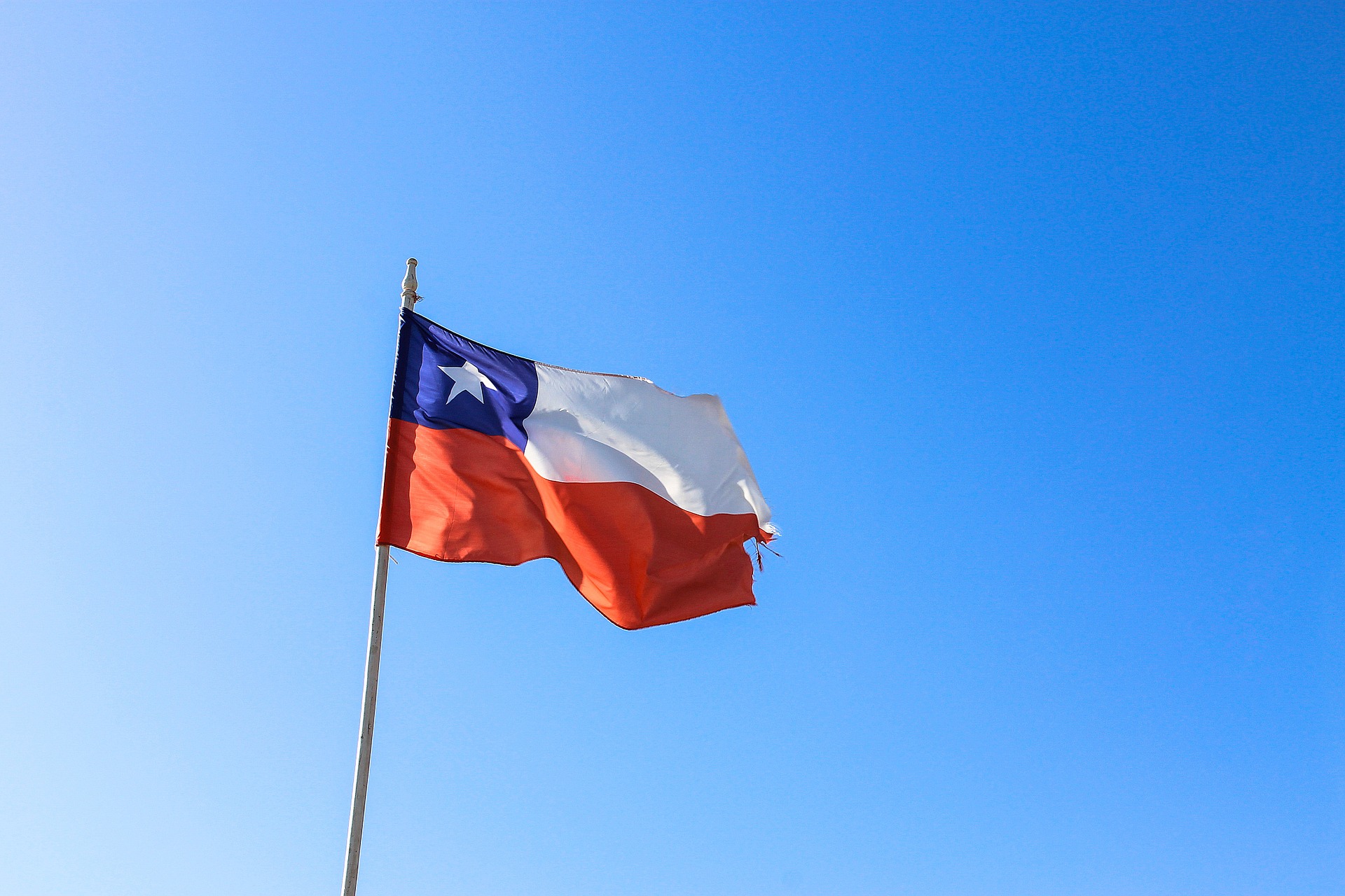Chilean flag.jpg