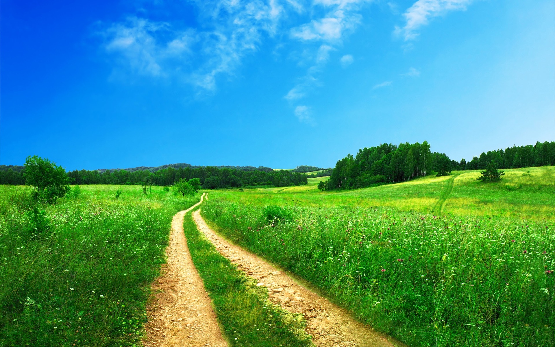 The future of the environment post-Brexit