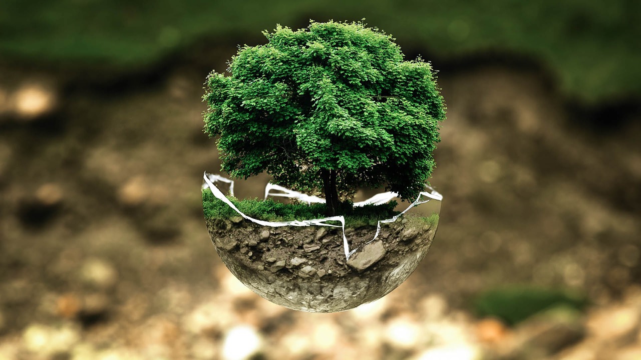 Turkey's new Zero Waste Regulation