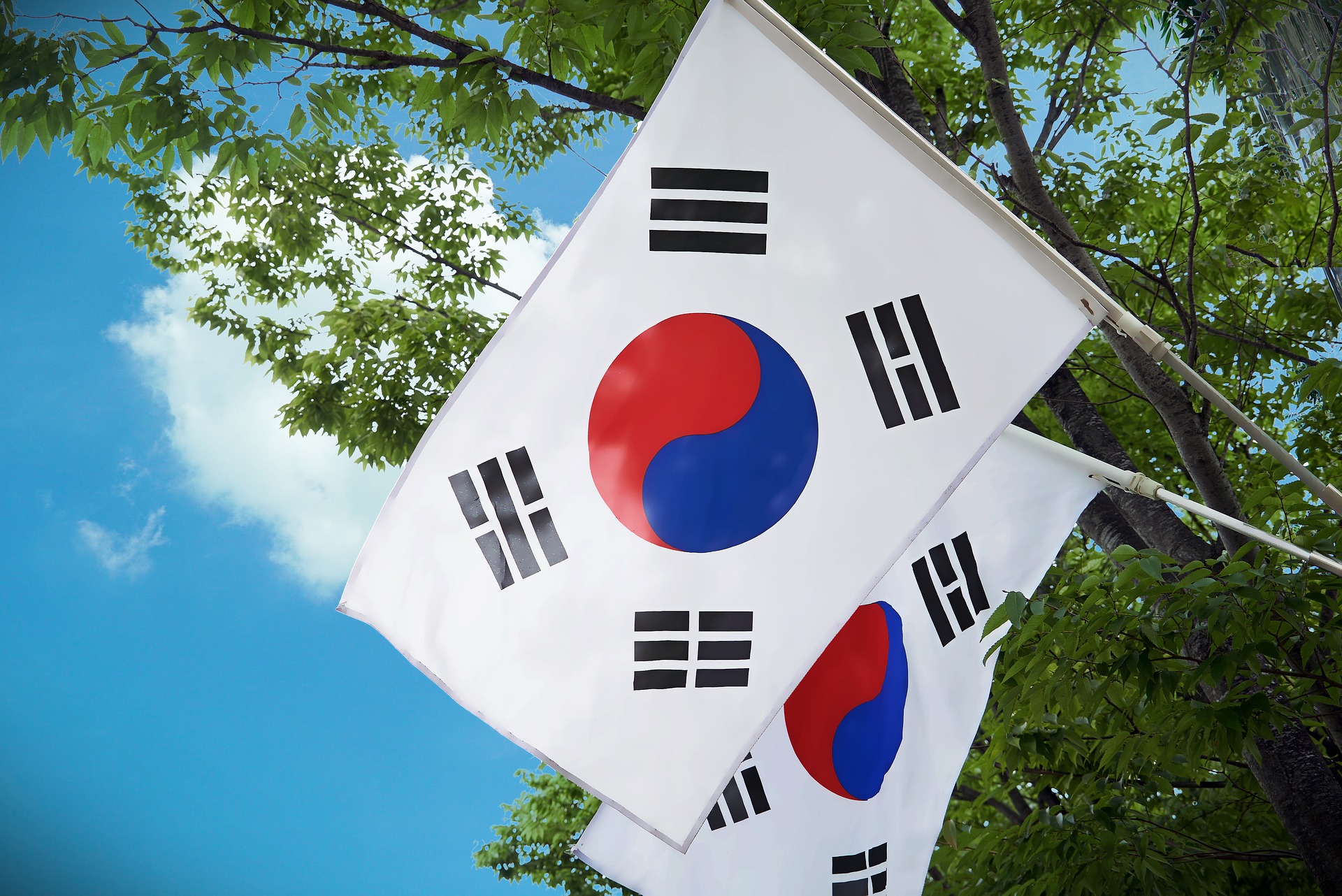 south korea.jpg