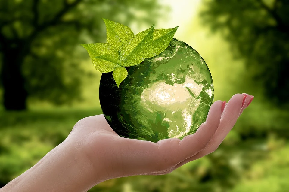 What is environmental reporting? The meaning behind AR, PRO and other key terms